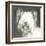 A Very Neutral Modern Dog VIII-null-Framed Art Print