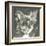 A Very Neutral Modern Dog XI-null-Framed Art Print