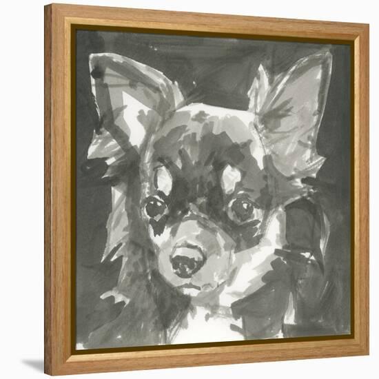 A Very Neutral Modern Dog XI-null-Framed Stretched Canvas