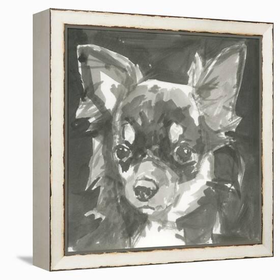 A Very Neutral Modern Dog XI-null-Framed Stretched Canvas