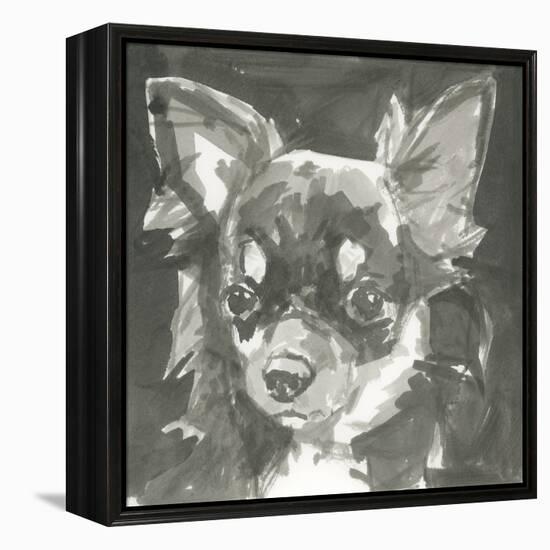 A Very Neutral Modern Dog XI-null-Framed Stretched Canvas