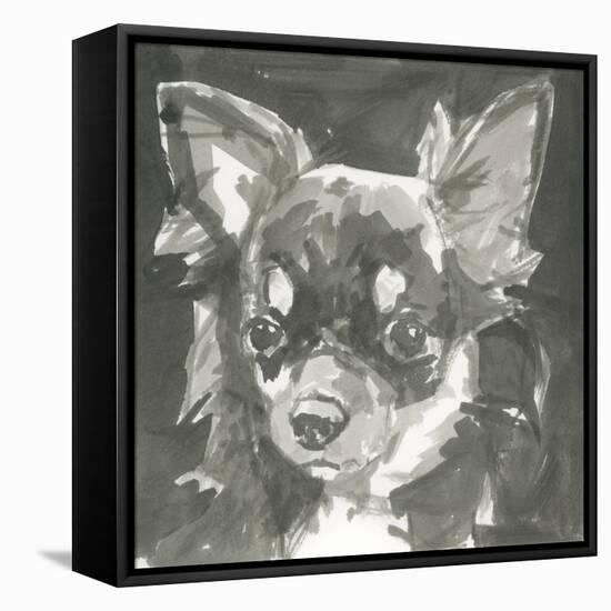 A Very Neutral Modern Dog XI-null-Framed Stretched Canvas