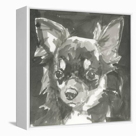 A Very Neutral Modern Dog XI-null-Framed Stretched Canvas