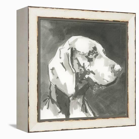 A Very Neutral Modern Dog XII-null-Framed Stretched Canvas