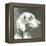 A Very Neutral Modern Dog XII-null-Framed Stretched Canvas