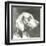 A Very Neutral Modern Dog XII-null-Framed Art Print