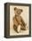 A Very Rare Large Cinnamon Bear, 1907-Steiff-Framed Premier Image Canvas