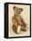 A Very Rare Large Cinnamon Bear, 1907-Steiff-Framed Premier Image Canvas