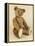 A Very Rare Large Cinnamon Bear, 1907-Steiff-Framed Premier Image Canvas