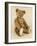 A Very Rare Large Cinnamon Bear, 1907-Steiff-Framed Giclee Print