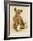 A Very Rare Large Cinnamon Bear, 1907-Steiff-Framed Giclee Print