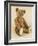 A Very Rare Large Cinnamon Bear, 1907-Steiff-Framed Giclee Print