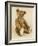 A Very Rare Large Cinnamon Bear, 1907-Steiff-Framed Giclee Print