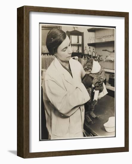 A Veterinary Surgeon Holding a Cat at the Cat's Hospital, Hampstead, London-null-Framed Photographic Print