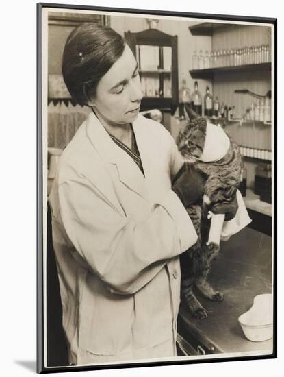 A Veterinary Surgeon Holding a Cat at the Cat's Hospital, Hampstead, London-null-Mounted Photographic Print