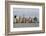 A view across the Hudson River to Lower Manhattan, New York, New York, Usa-Susan Pease-Framed Photographic Print