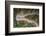 A view by drone of a winding road in the Dolomites, Italy-Julian Elliott-Framed Photographic Print