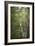 A View Down the Path Which Goes Through the Woods Near Amersham in Buckinghamshire, England-Natalie Tepper-Framed Photo