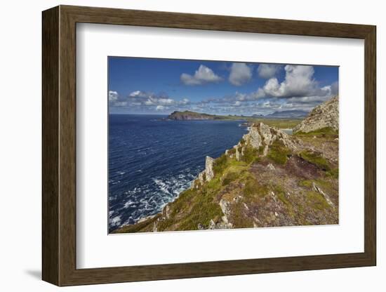 A view from Clogher Head towards Sybil Point, at the western end of the Dingle Peninsula, County Ke-Nigel Hicks-Framed Photographic Print