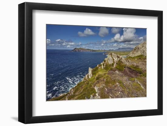 A view from Clogher Head towards Sybil Point, at the western end of the Dingle Peninsula, County Ke-Nigel Hicks-Framed Photographic Print