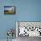 A view from Clogher Head towards Sybil Point, at the western end of the Dingle Peninsula, County Ke-Nigel Hicks-Framed Premier Image Canvas displayed on a wall