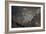 A view from Kongde looking down on Namche, the biggest village in Khumbu, the Everest region, Nepal-Alex Treadway-Framed Photographic Print