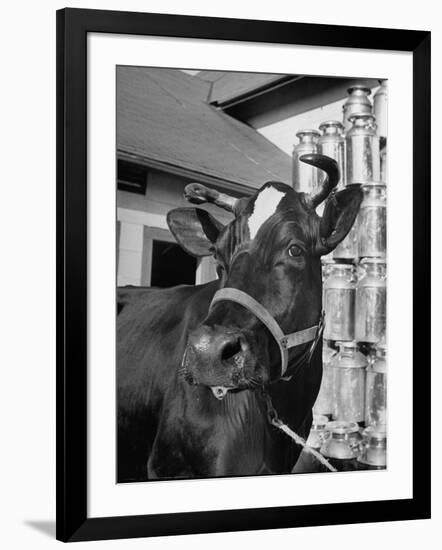 Photographic Print, , large