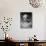 A View of a Life Mask of Martin Van Buren-Bernard Hoffman-Premium Photographic Print displayed on a wall