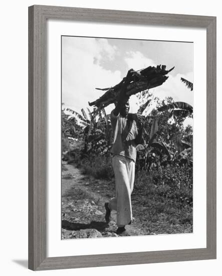A View of a Man Carrying Crops from a Story Concerning Jamaica-Carl Mydans-Framed Premium Photographic Print