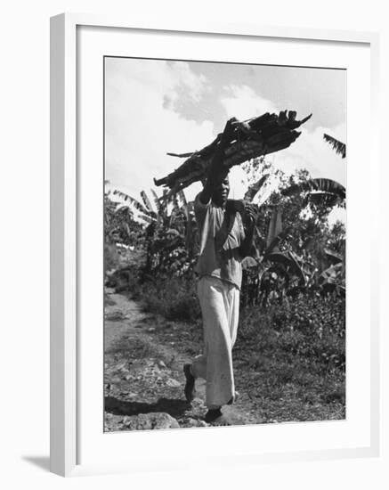 A View of a Man Carrying Crops from a Story Concerning Jamaica-Carl Mydans-Framed Premium Photographic Print