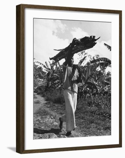 A View of a Man Carrying Crops from a Story Concerning Jamaica-Carl Mydans-Framed Premium Photographic Print