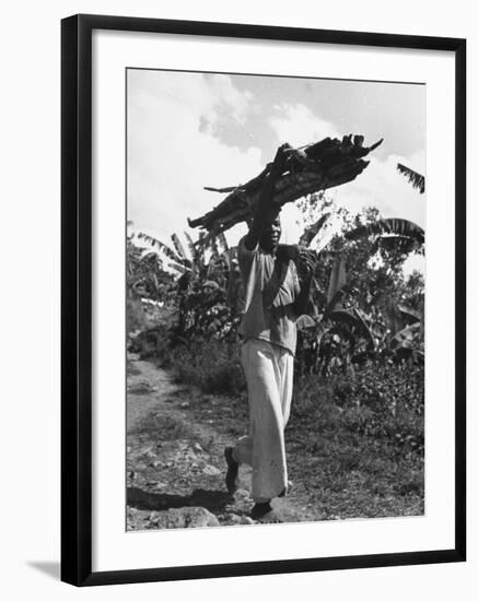 A View of a Man Carrying Crops from a Story Concerning Jamaica-Carl Mydans-Framed Premium Photographic Print