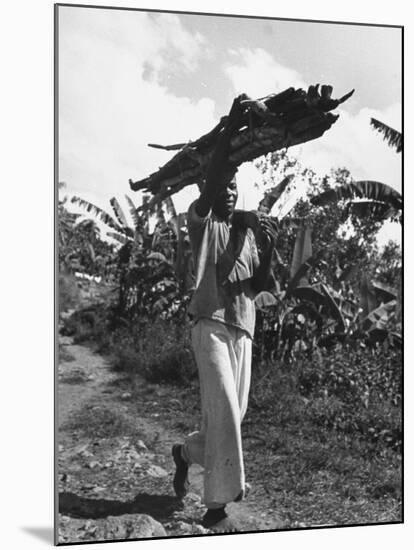 A View of a Man Carrying Crops from a Story Concerning Jamaica-Carl Mydans-Mounted Premium Photographic Print