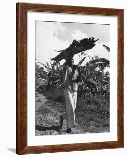 A View of a Man Carrying Crops from a Story Concerning Jamaica-Carl Mydans-Framed Premium Photographic Print