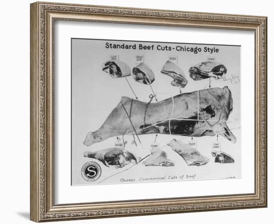 A View of a Meat Poster Showing Different Parts of a Cow from a Story Concerning Army Rations-null-Framed Photographic Print