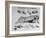 A View of a Meat Poster Showing Different Parts of a Cow from a Story Concerning Army Rations-null-Framed Photographic Print