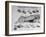 A View of a Meat Poster Showing Different Parts of a Cow from a Story Concerning Army Rations-null-Framed Photographic Print