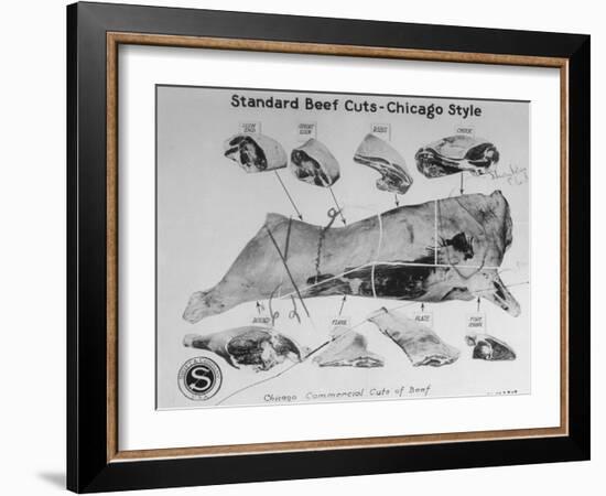 A View of a Meat Poster Showing Different Parts of a Cow from a Story Concerning Army Rations-null-Framed Photographic Print