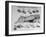 A View of a Meat Poster Showing Different Parts of a Cow from a Story Concerning Army Rations-null-Framed Photographic Print