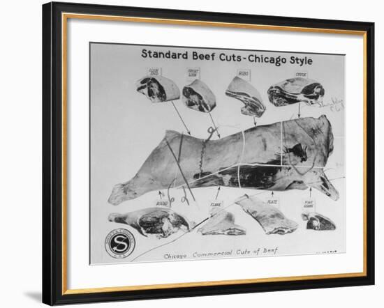 A View of a Meat Poster Showing Different Parts of a Cow from a Story Concerning Army Rations-null-Framed Photographic Print