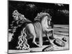 Photographic Print