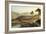 A View of Ambleside-Sidney Richard Percy-Framed Giclee Print