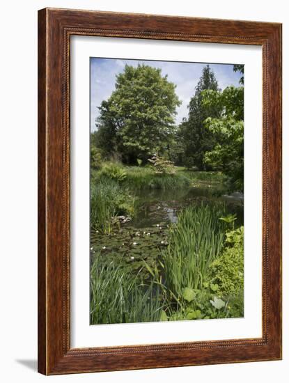 A View of and English Garden-Natalie Tepper-Framed Photo