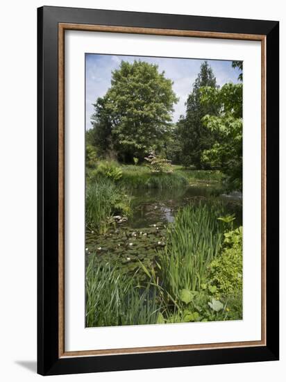 A View of and English Garden-Natalie Tepper-Framed Photo