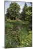 A View of and English Garden-Natalie Tepper-Mounted Photo