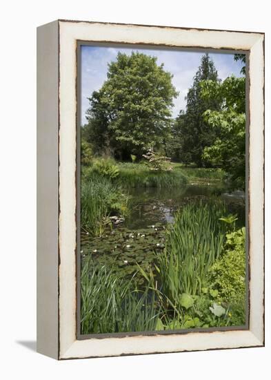 A View of and English Garden-Natalie Tepper-Framed Stretched Canvas