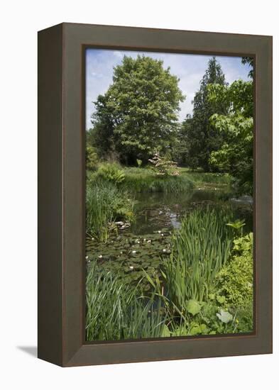 A View of and English Garden-Natalie Tepper-Framed Stretched Canvas