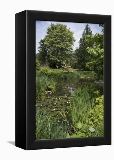 A View of and English Garden-Natalie Tepper-Framed Stretched Canvas