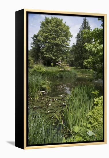 A View of and English Garden-Natalie Tepper-Framed Stretched Canvas
