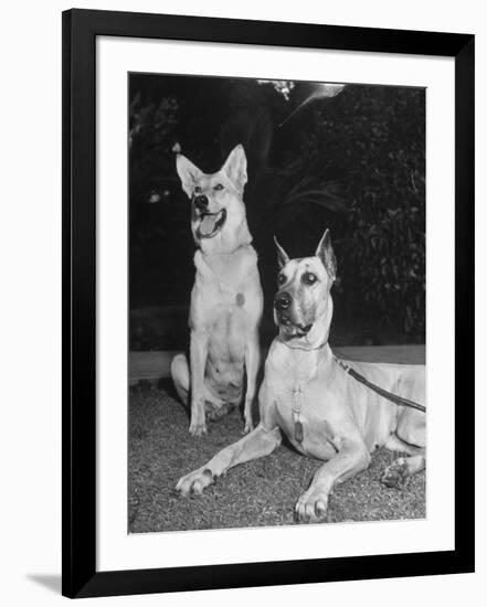 Photographic Print, , large